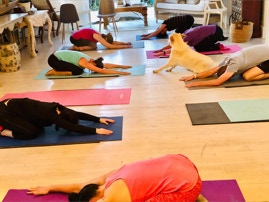 Pilates with Alex class